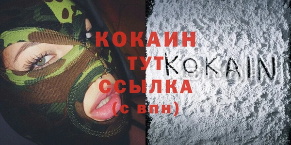 спиды Каменногорск