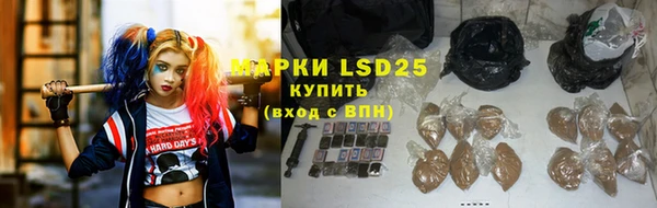 дурь Карпинск