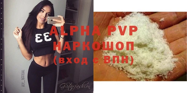 спиды Каменногорск
