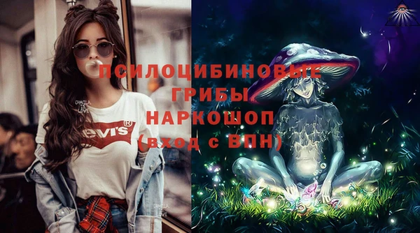дурь Карпинск