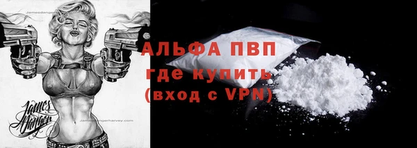 спиды Каменногорск