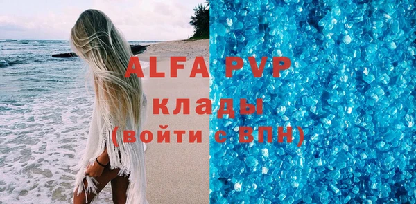 спиды Каменногорск