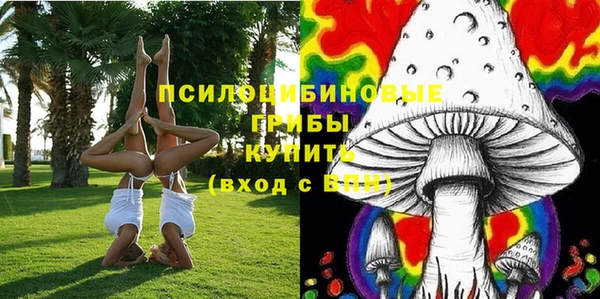 крисы Карталы